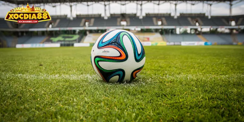 Dựa vào hai đội bóng và tỷ lệ chiến thắng để đặt cược - Cách Bắt Kèo Trong Bóng Đá