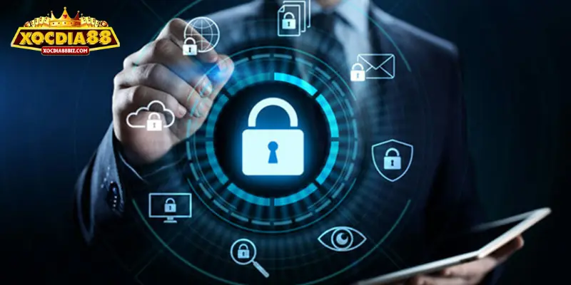 XOCDIA88 thu thập dữ liệu người dùng như thế nào?