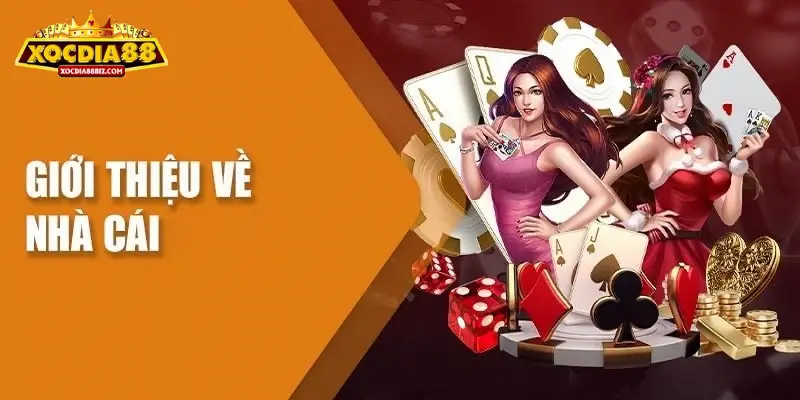 Giới thiệu XOCDIA88 cơ bản nhất cho người chơi