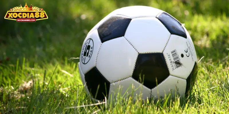 Kèo chẵn lẻ là gì