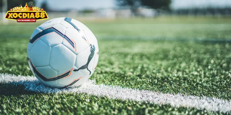 Cách đặt cược chuẩn xác