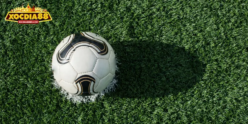 Tìm hiểu đầy đủ tất cả các thông tin về trận đấu