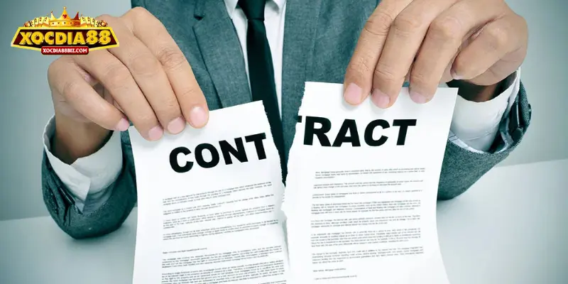 Những thông tin về quyền chỉnh sửa nội dung