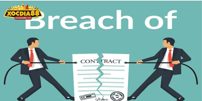 Đặt trọng tâm vào sự hiểu biết và đồng thuận của người chơi