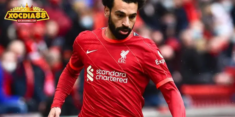 Soi kèo ngoại hạng Anh là gì? 