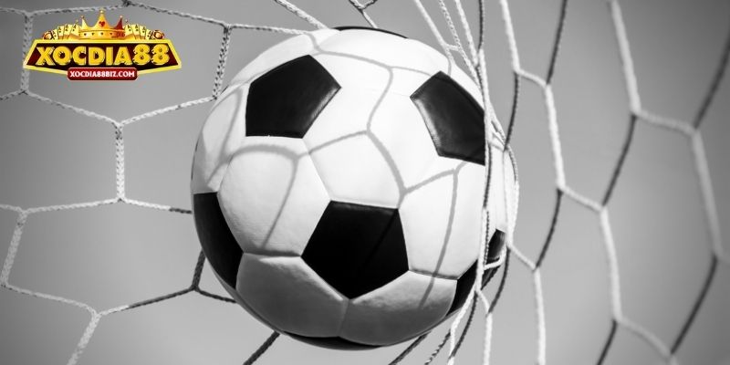 Chi tiết cách cược đồng banh hội viên cần nắm