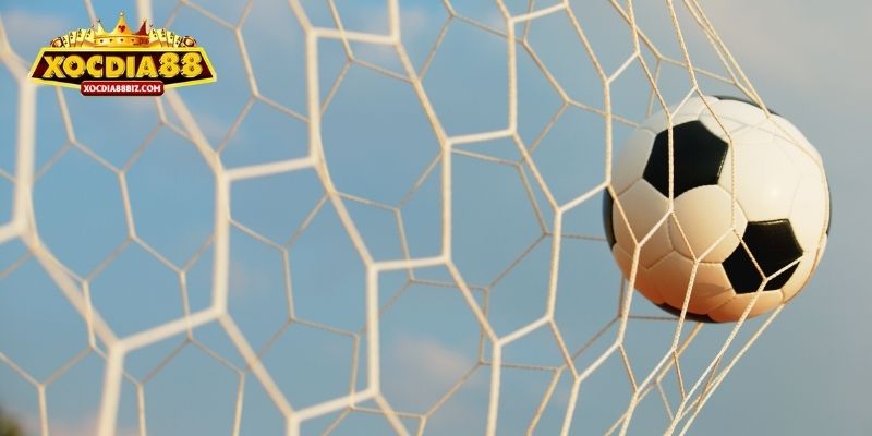 Kèo rung được săn đón trong cá cược thể thao