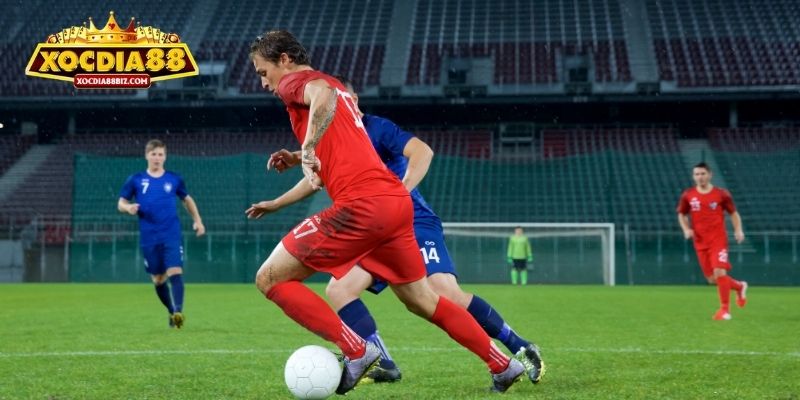 Kèo cược bóng đá rất được săn đón gần đây