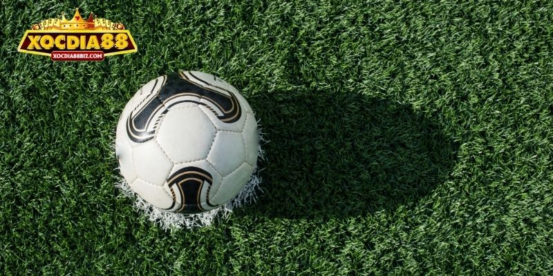 3 lưu ý cược bóng đá hiệu quả